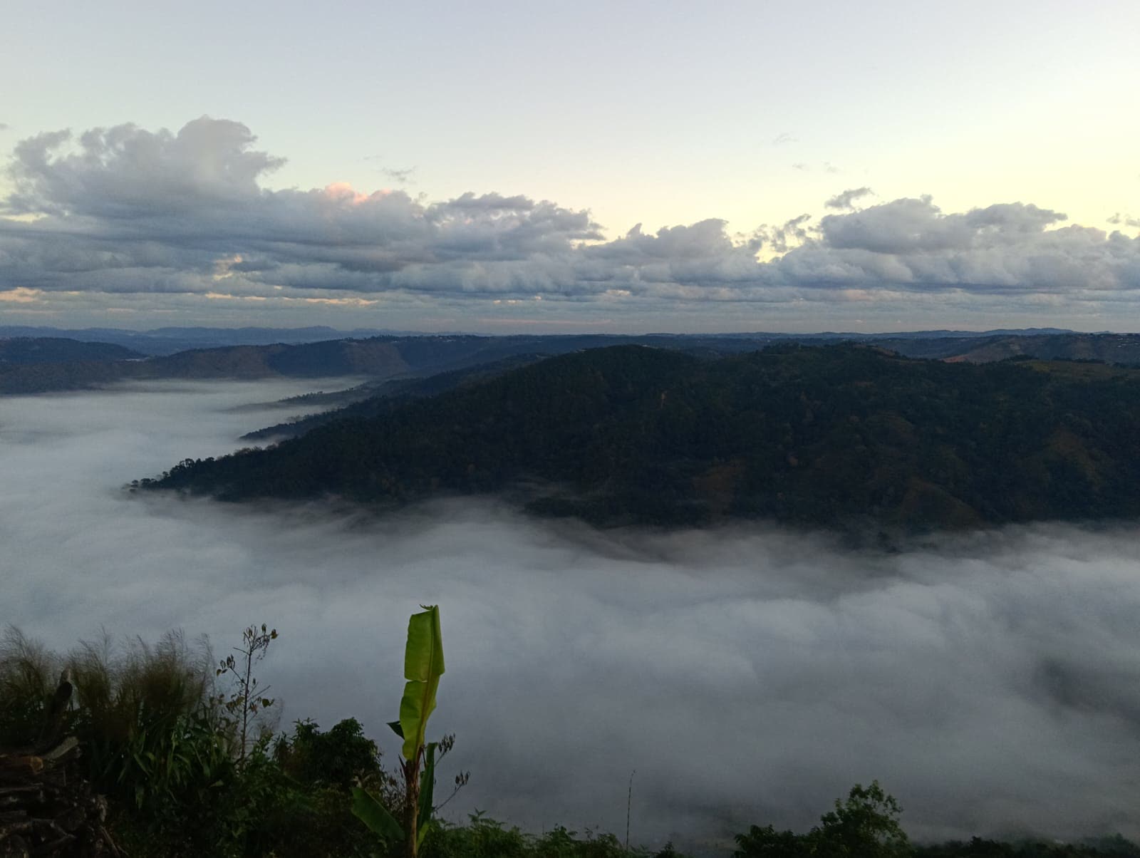 Clouds filling the valleys below forested ridges at dawn in Meghalaya